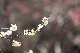 image0172