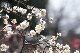 image0174