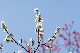 image0175