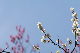 image0176