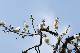 image0178