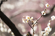 image0184