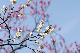 image0188