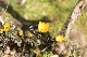 image0189