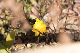 image0191