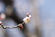 image0192