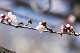 image0193