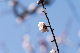 image0194