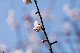 image0195