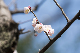 image0196