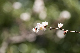 image0202