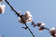 image0205