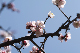 image0206