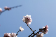 image0207