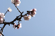 image0208