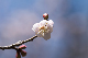 image0211