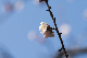 image0212