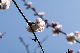 image0216