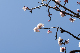 image0218