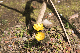 image0220