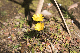 image0221