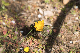 image0222