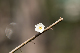 image0224