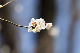 image0226