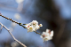 image0227