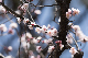 image0228