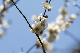 image0230