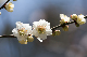 image0231