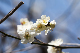 image0232