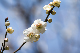 image0233