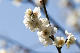 image0234