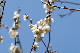 image0235