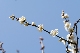 image0236
