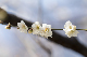 image0237