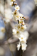 image0239