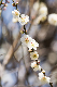 image0243