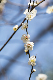 image0244