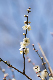 image0248