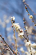 image0254