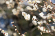 image0255