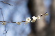 image0260