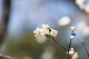 image0261