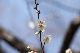 image0264