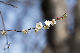 image0266
