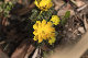 image0267