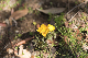 image0268